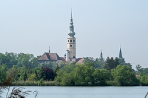 Ducks at Tovacov pond 