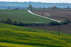 Bukovany wind mill and orchard with field