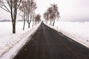 Snowy road with trees