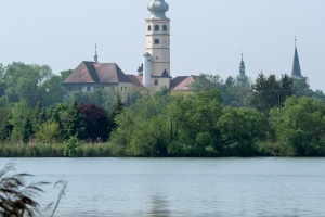 Ducks at Tovacov pond