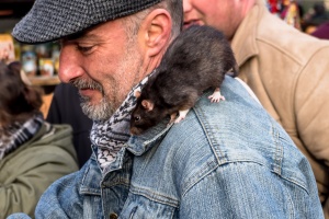 Krakow - street photography