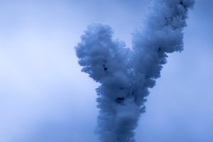 Frozen tree branches
