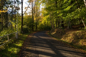 Marianske Lazne, Spa in the autumn
