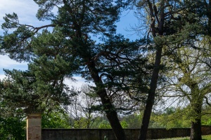 Moravsky Krumlov Castle garden and trees