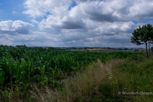 Petrovicky, Nemcice, Radochovy