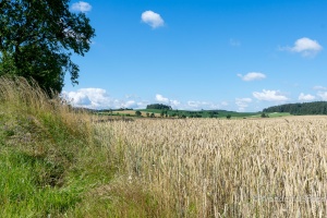 Petrovicky, Nemcice, Radochovy