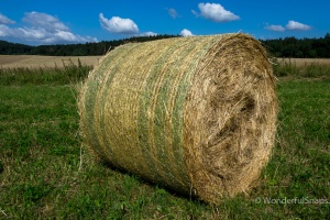 Petrovicky, Nemcice, Radochovy