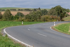 Road and trees upon a way home