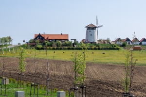 Bukovany wind mill and orchard with field