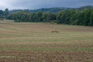Cesky Rudolec (chateau)