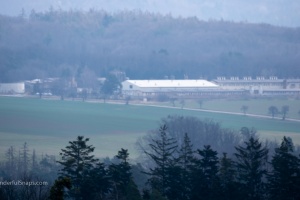 Landscape with a tree