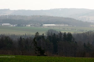 Landscape with a tree