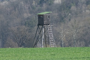 Landscapes with long lens