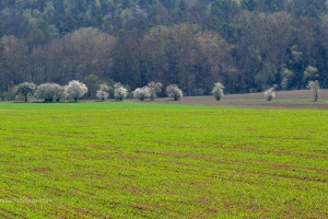 Landscapes with long lens