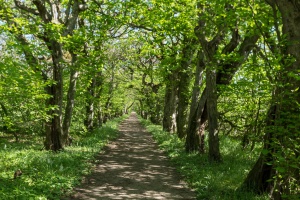 Milotice Chateau exteriors