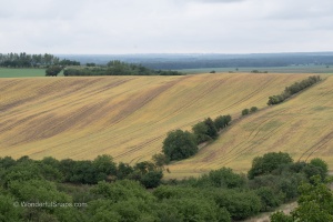 Moravian Tuscany trees and field waves in the late summer