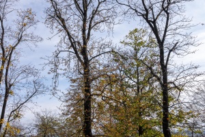Spilberk and Cathedral of St. Peter and Paul