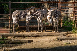 Zoo Brno – one of the first visits