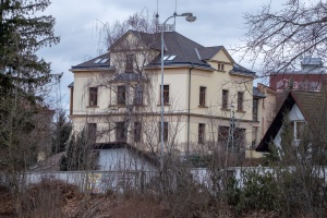 Ducks of Mercandinovy sady