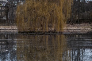 Namest nad Oslavou deer-park