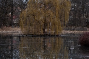 Namest nad Oslavou deer-park