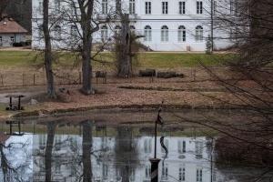 Namest nad Oslavou deer-park