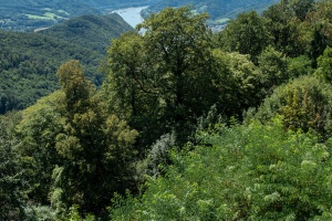 Aggstein Castle - a ruined castle above the Danube River