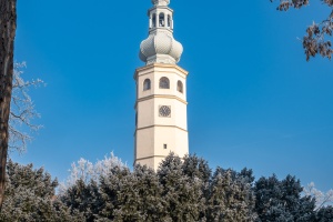 Tovacov Castle and Frozen Trees in the Backyard
