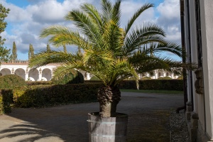 A timeless stroll through the Kromeriz flower garden