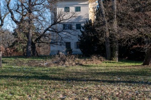 Winter Stillness at the Temple of Diana